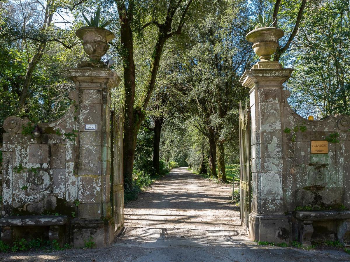 New! La Stanza In Villa Λούκα Εξωτερικό φωτογραφία
